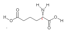 L-α-氨基已二酸