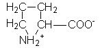 L-Proline