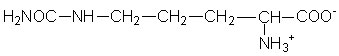 L-Citrulline