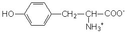 L-Tyrosine