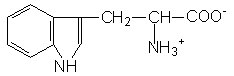 L-Tryptophan