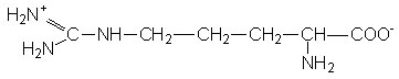 L-Arginine